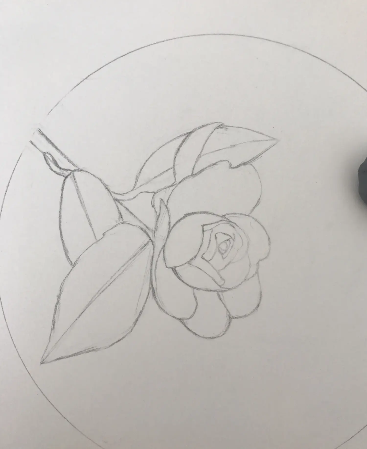 彩铅茶花 - 简书