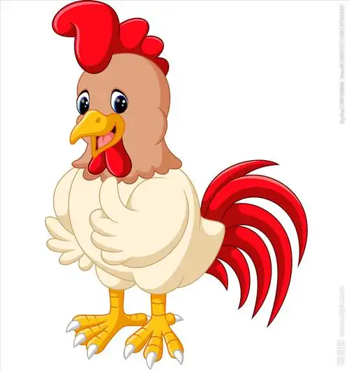 公鸡图片
