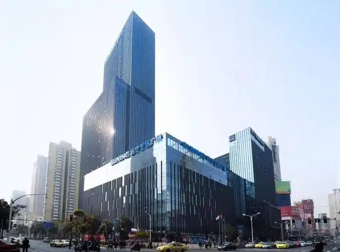 苏宁营收增长的"非常之道"(2)