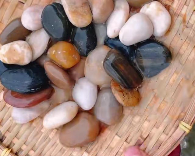 随处可见的石头居然可以吃?且看小石头华丽变身美食