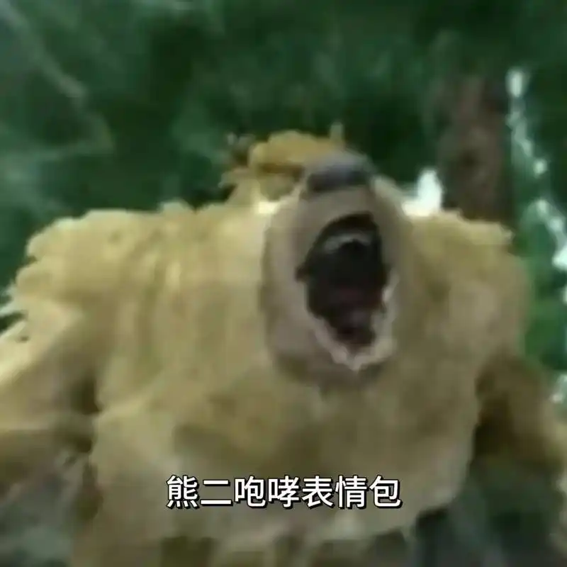 熊二怒吼表情包 原来中二是个咆哮帝.熊二怒吼表情包原图无字 - 抖音