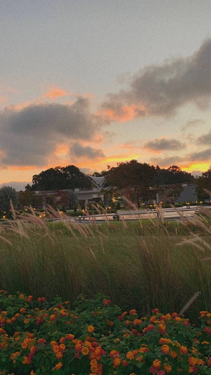 ins手机壁纸高清无水印 欧美风微信聊天背景图