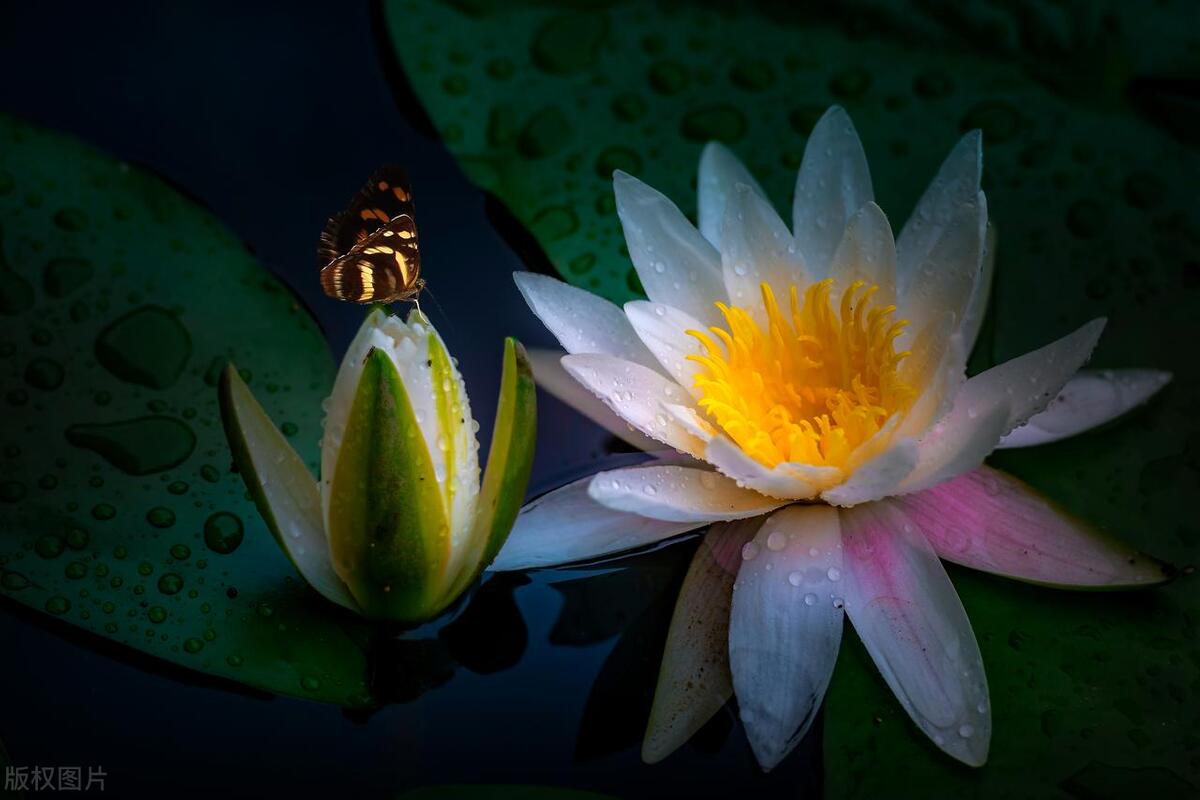 有意境文艺范的简短句子(唯美文艺有诗意的唯美文案)_思考_什么_世界