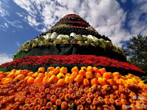 五谷丰登 愿我们的农民朋友年年都能风调雨顺,瓜果飘香,五谷丰登!