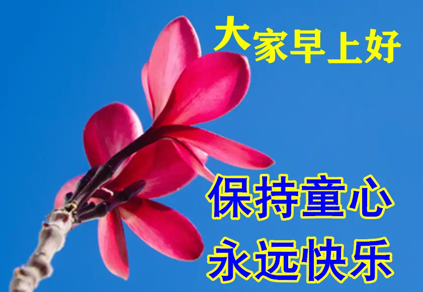 7月15日最漂亮早上好动态表情图片大全早晨好动图美图大全