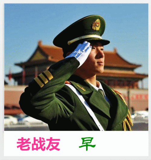 850_900gif 动态图 动图