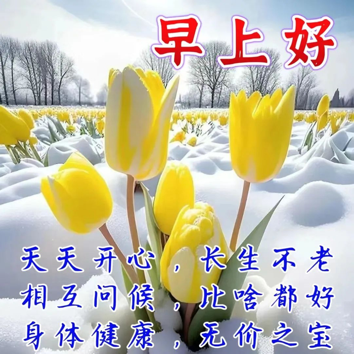 早安图片唯美温馨祝福语集锦__财经头条