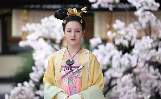 她的母亲阿宁是宰相的侍妾,张夫人在阿宁怀孕的时候也谎称自己怀孕,在