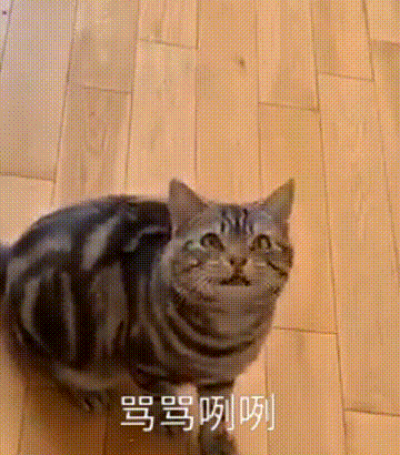 【黑卡】找到一些表情包