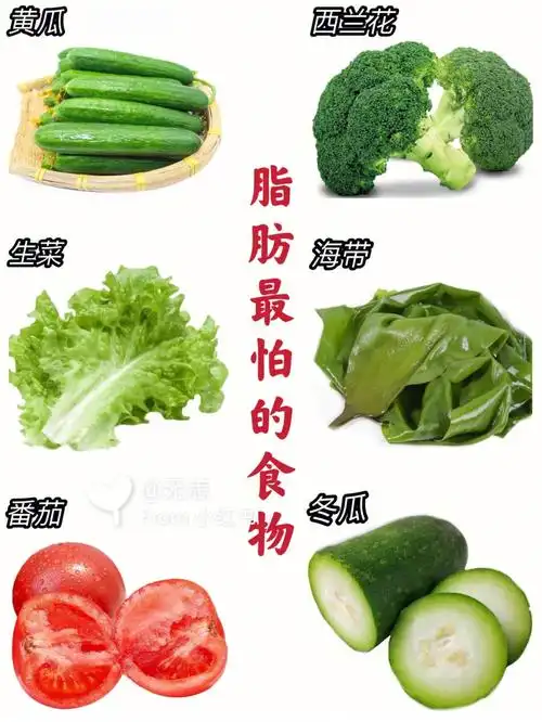 减肥你应该吃的食物这些是脂肪最害怕的啦