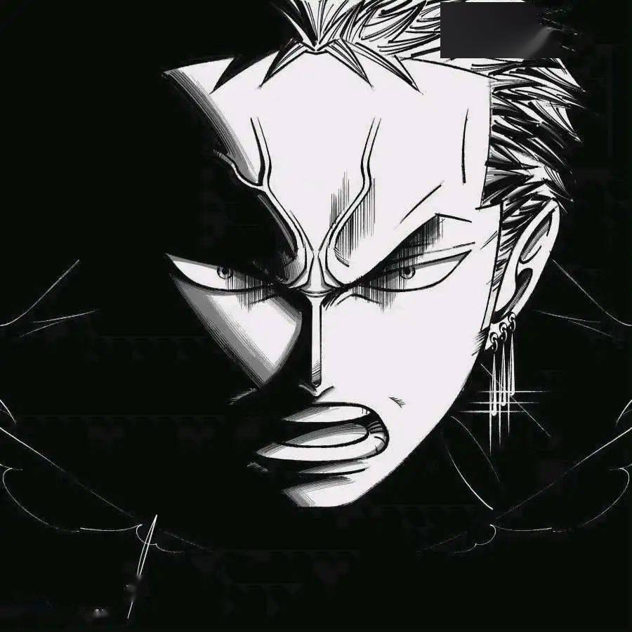 海贼王头像|暗黑风索隆