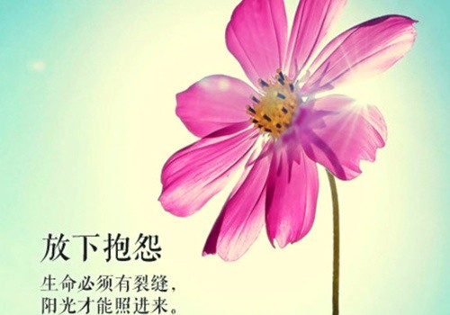 4,女人,永远都不要让某个人成为你的全部,否则哪天他离开,你将一无