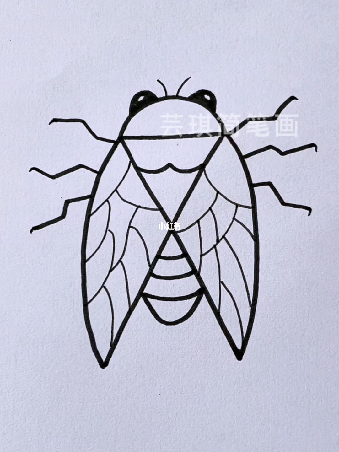 知了简笔画