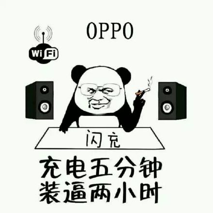 充电五分钟,装逼两小时(oppo,闪充)_装逼_oppo_闪充表情