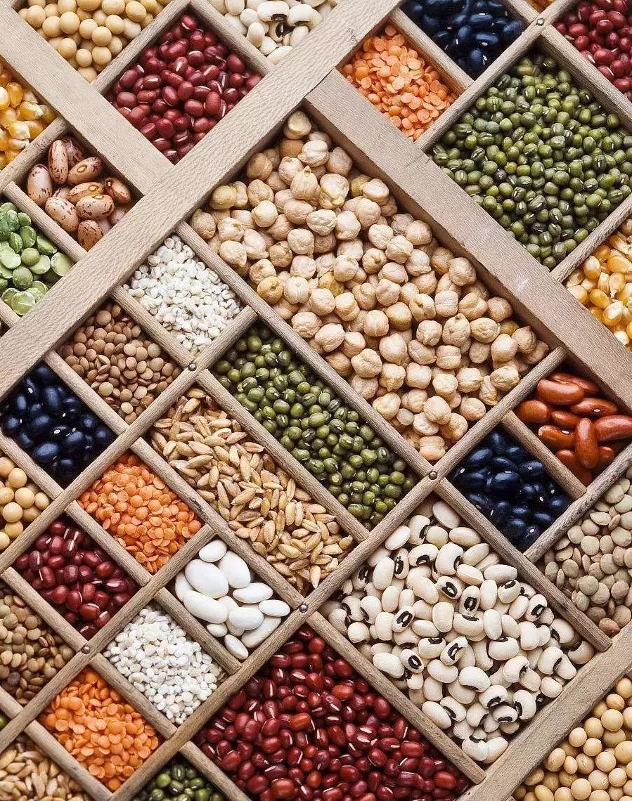 如何让孩子通过种子感受生命的力量