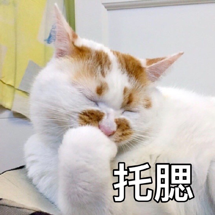 萌宠喵星人托腮思考搞怪逗gif动图_动态图_表情包下载_soogif