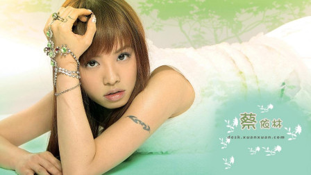 蔡依林《城堡》专辑歌曲推荐(下),来看看都有什么歌曲吧