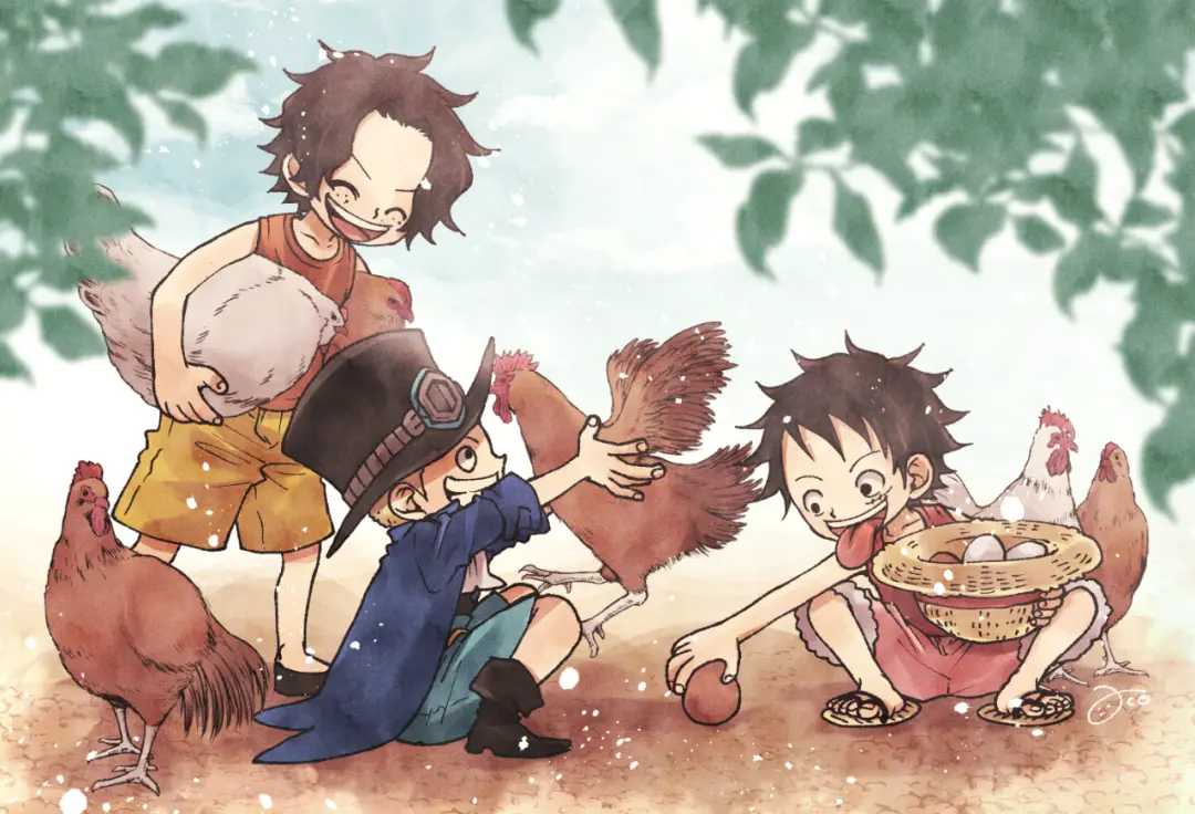 海贼王asl三小只插图_aco
