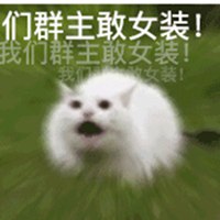要求群主女装的表情包_微信头像图片大全