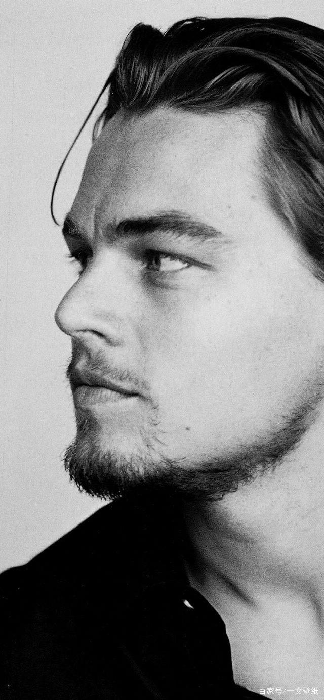 莱昂纳多 迪卡普里奥只是统一了全世界的审美