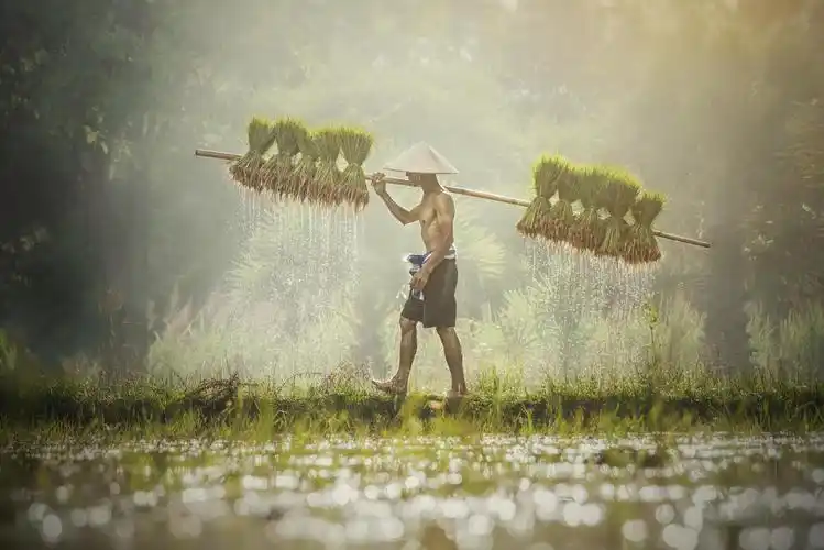 勤劳的工作图片