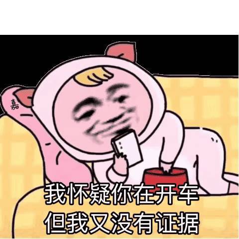 嘉我怀疑你在开车但我又没有证据开车证据怀疑没有表情