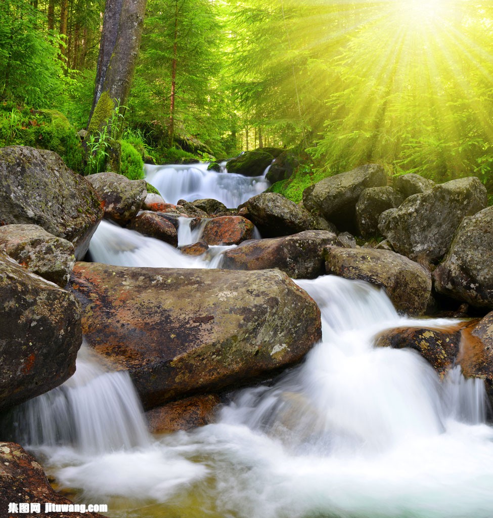 阳光小溪树林风景