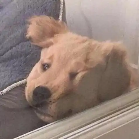 逗比搞笑头像闺蜜三人搞笑头像闺蜜四人搞笑头像闺蜜沙雕搞笑头像闺蜜