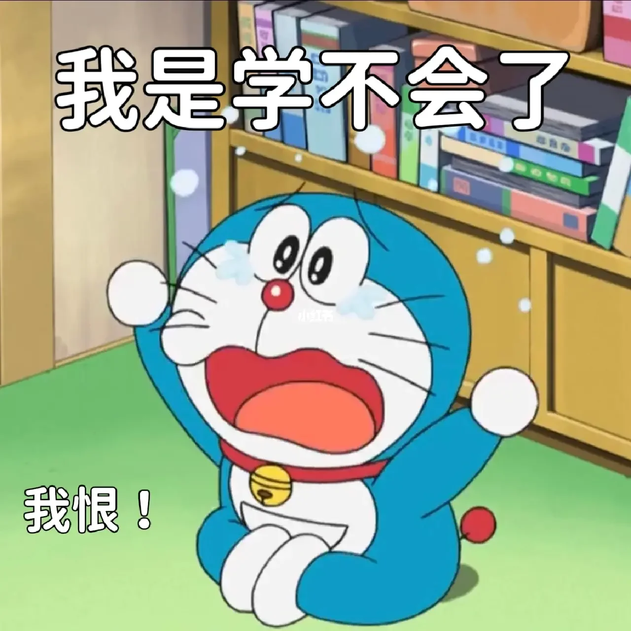 哆啦a梦表情包10
