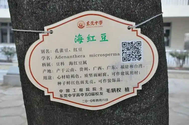 普及植物知识共创绿色校园我校举行校园植物挂牌仪式