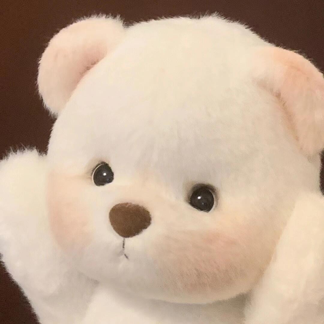 小熊可爱头像