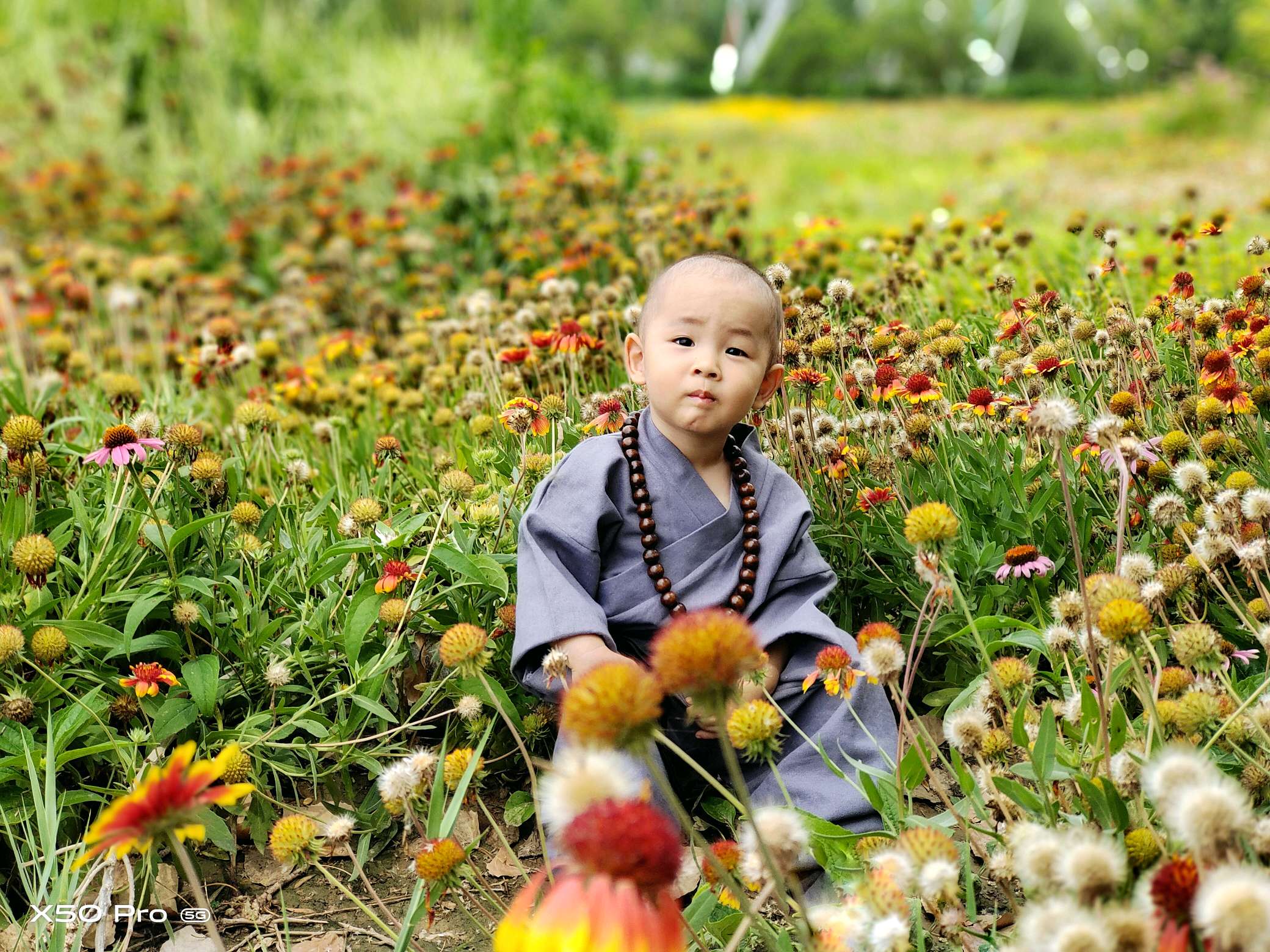 试试x50# 小小和尚