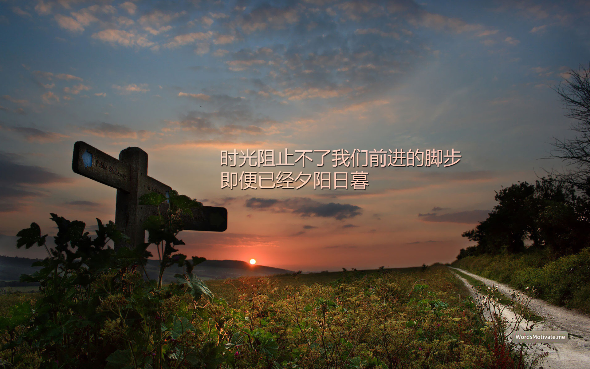 高考创意励志语录图片桌面壁纸