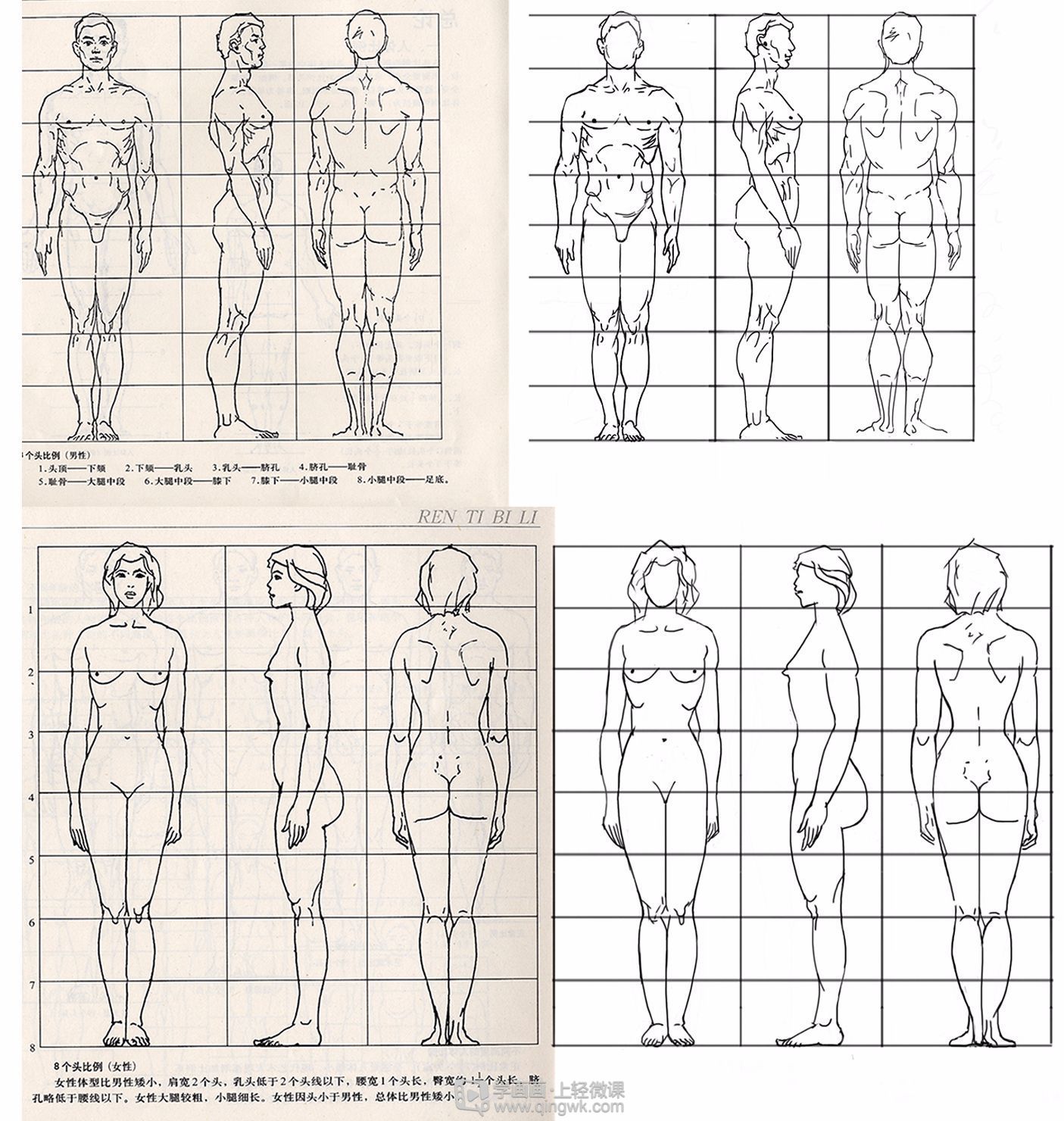 古风插画之人体比例