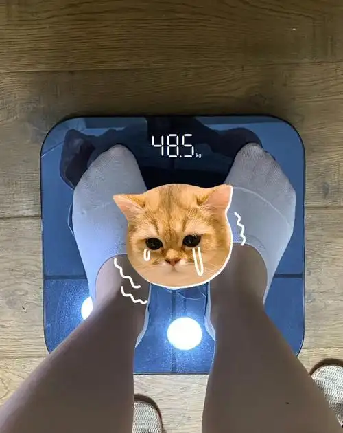 小基数佛系减肥目标体重95斤