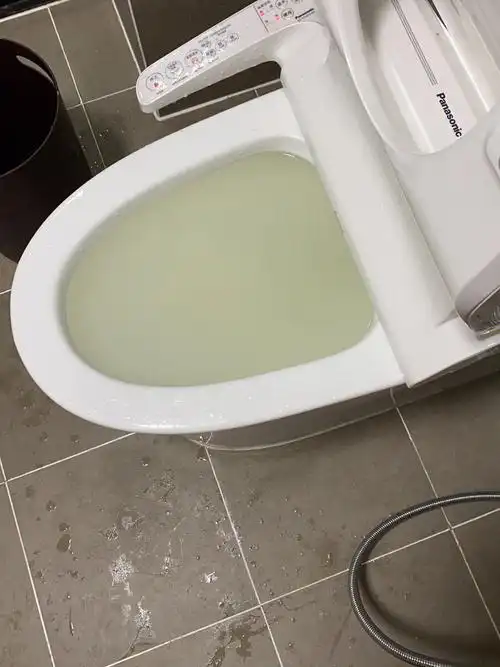 猫砂堵住了马桶