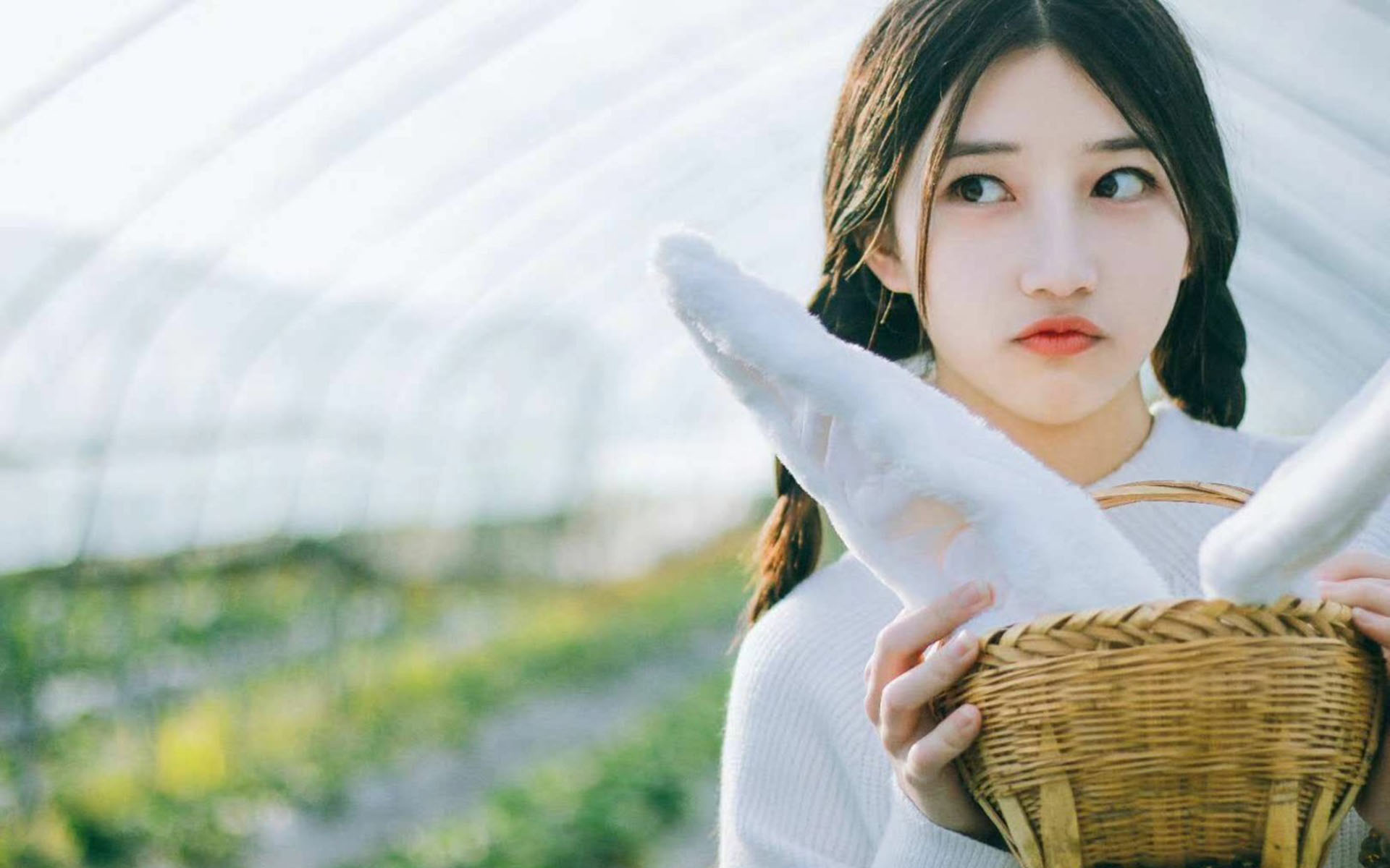 清纯养眼少女唯美高清桌面壁纸