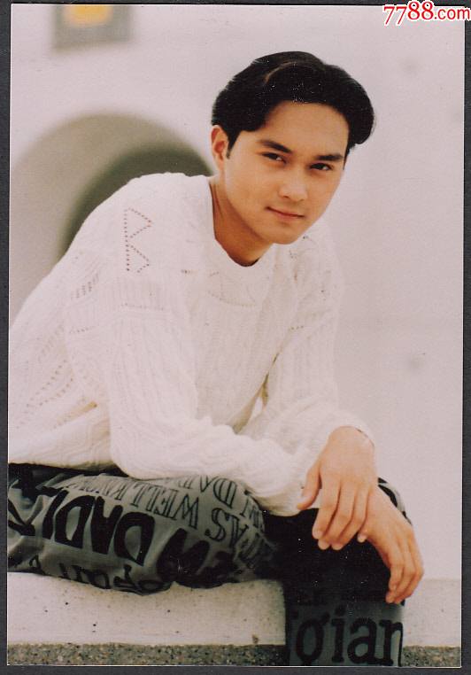 香港著名影星张智霖