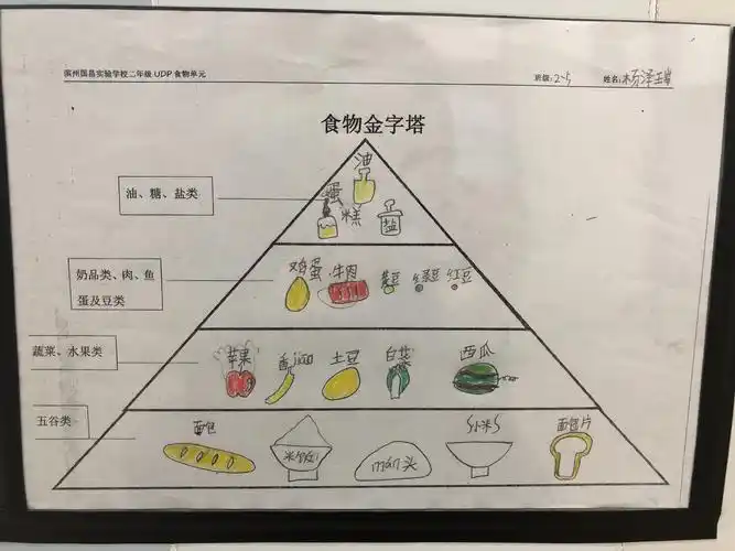 并完成食物金字塔.