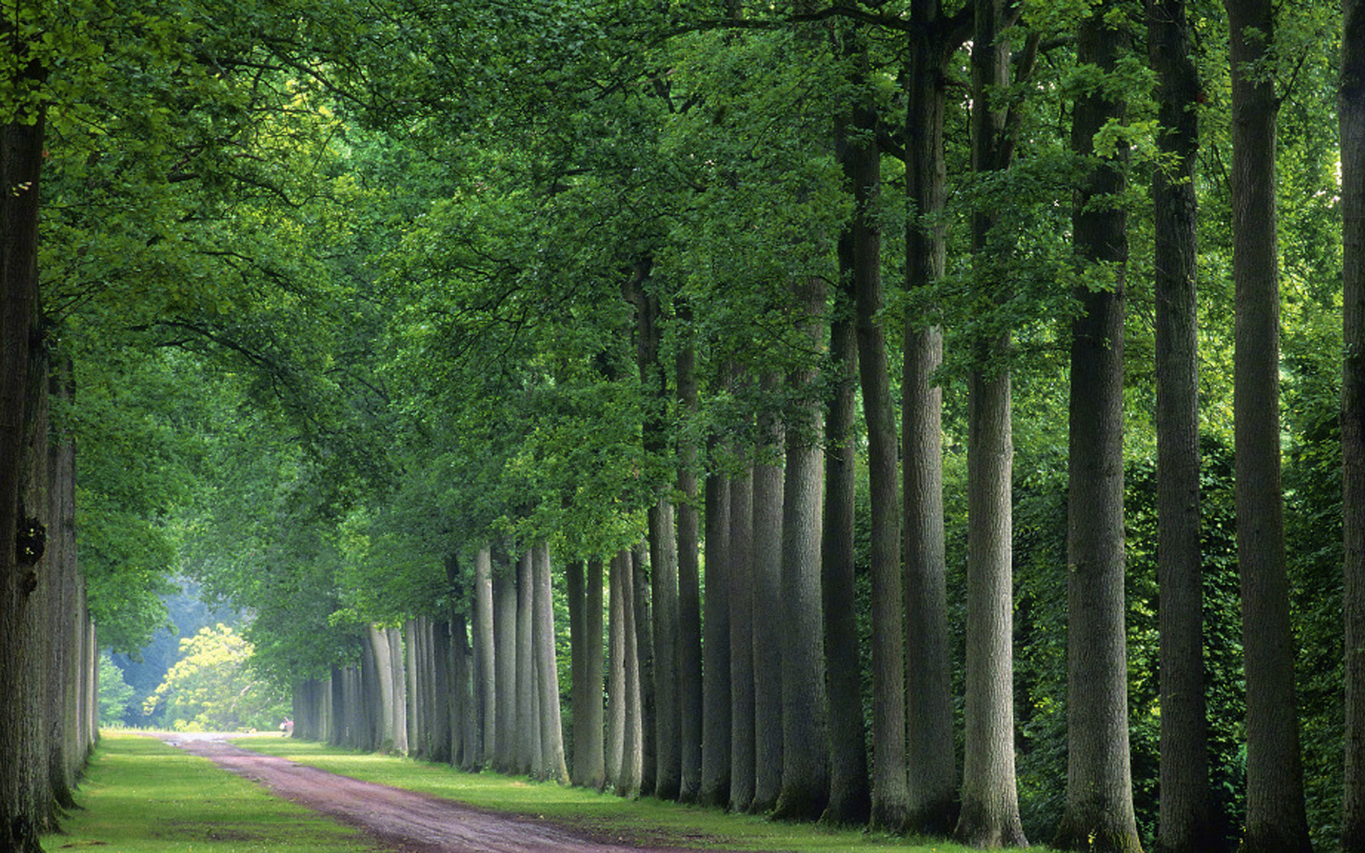 大自然清新美景图片桌面壁纸-风景壁纸-手机壁纸下载-美桌网