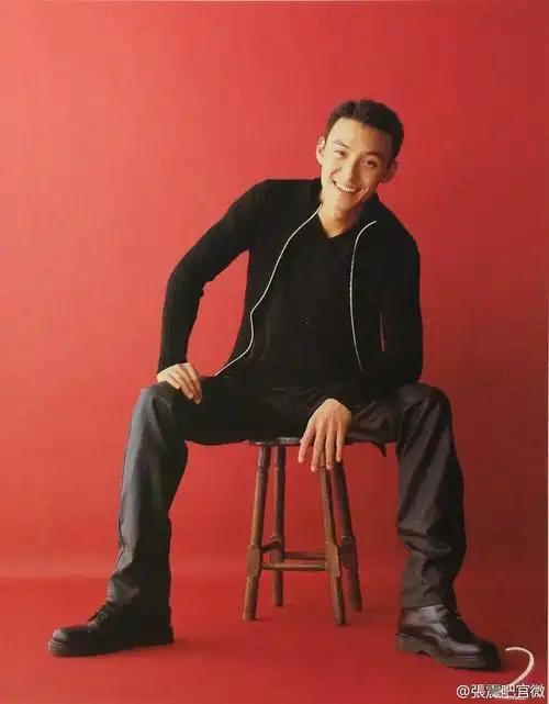 就想给神尊盖个楼年轻时的张震