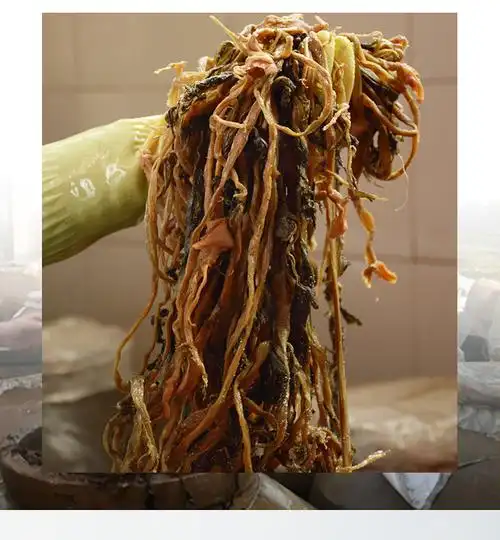 宜宾芽菜正宗四川特产 长条芽菜 烧白扣肉散装牙菜500g