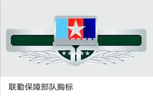 中央军委机关胸标,中央军委机关直属单位胸标,战区胸标,陆军胸标,空军