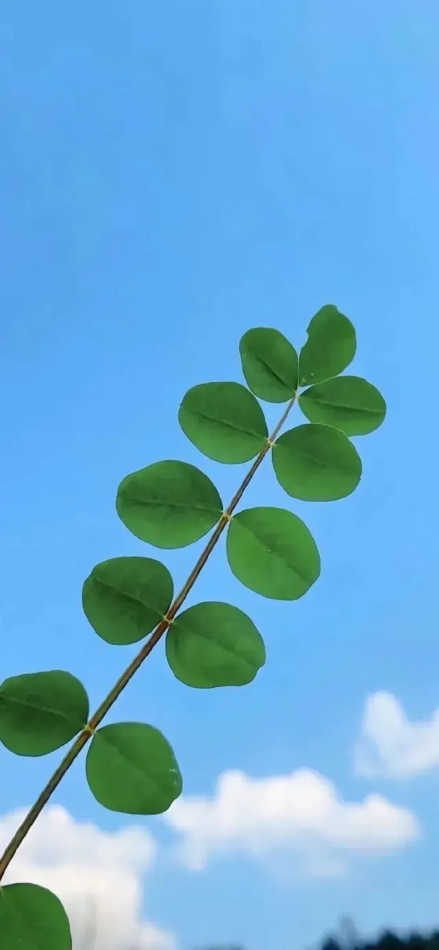 592_1280竖版 竖屏