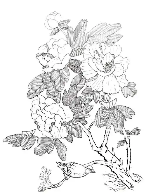 夫人临摹白描画跃然纸上