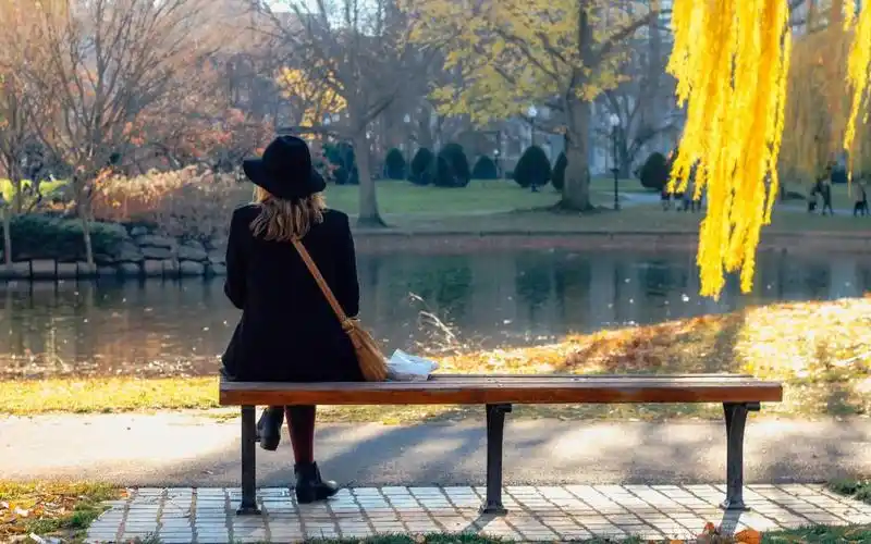 意境图片 女生图片 安静 背影 意境 孤独 女生 内容简介 独自一个人在