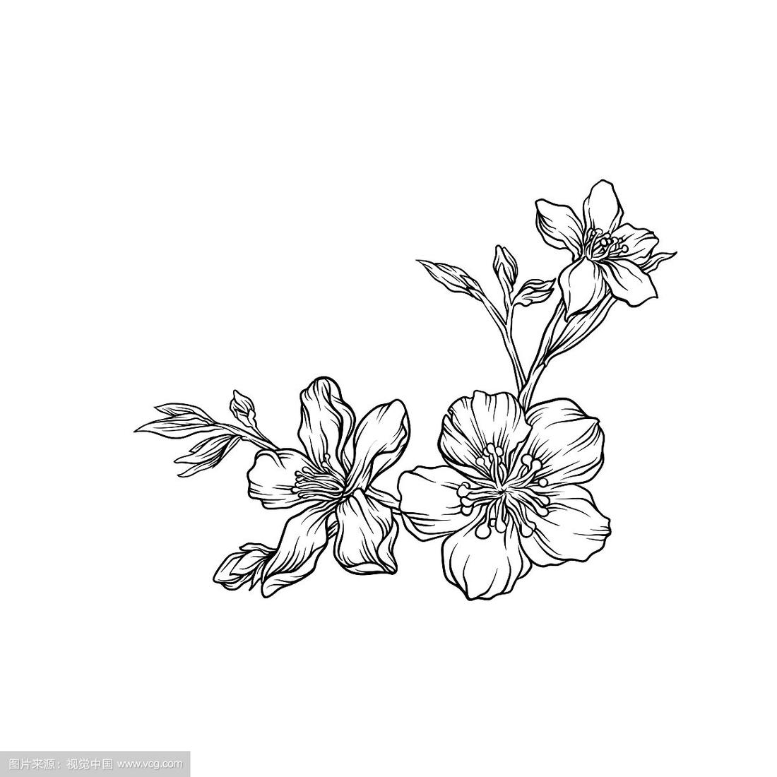 手绘花枝单色花设计