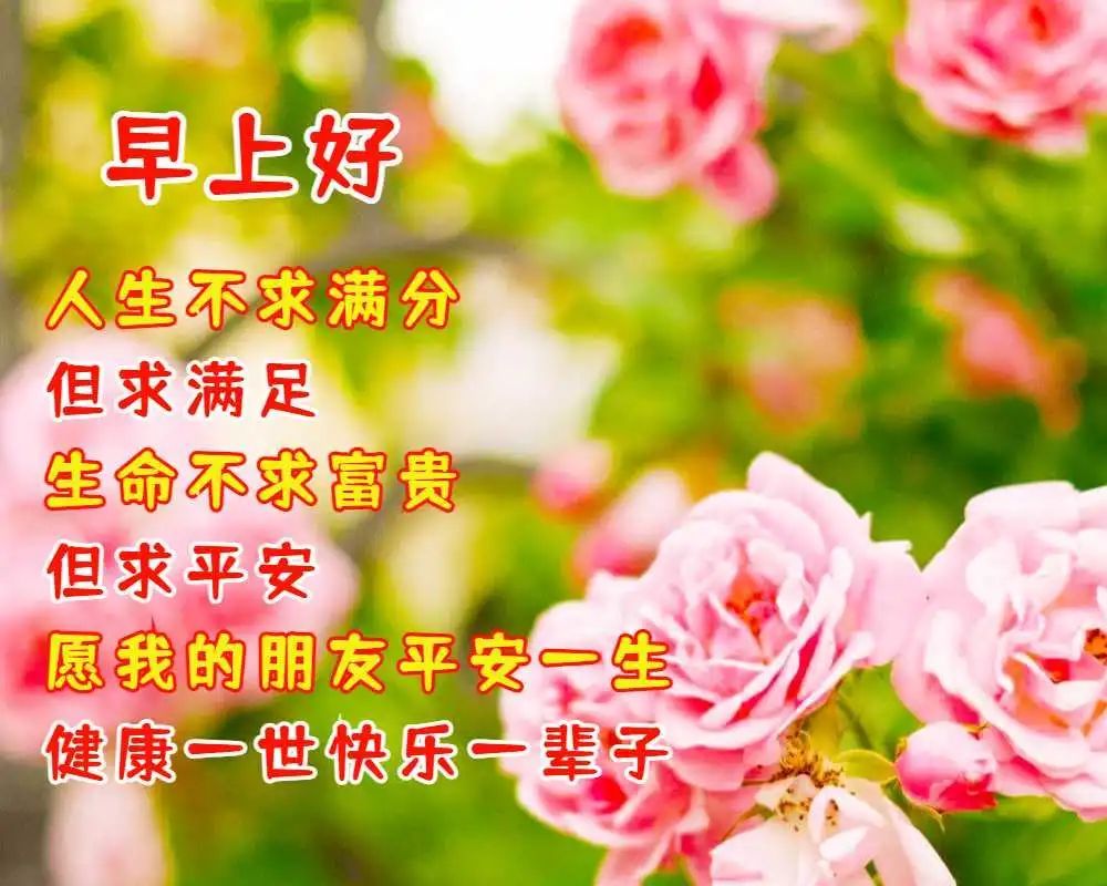 每日早上好祝福语表情带图片清早问候朋友的早上好暖心祝福语