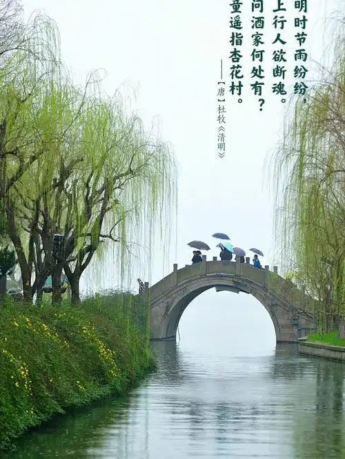 清明时节雨纷纷