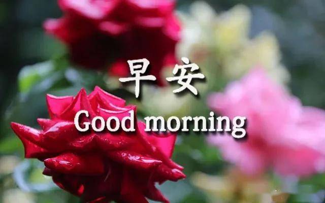 唯美的早安图片带字,漂亮好看的早上好问候语图片_祝福